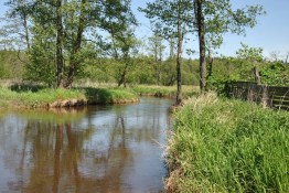 Zwierzyniec Atrakcja Spływ kajakowy Marco Canoe